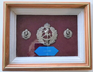 Framed set of hat and collar badges