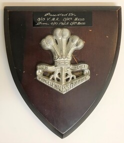 A wooden shield with a silver badge attached to it.