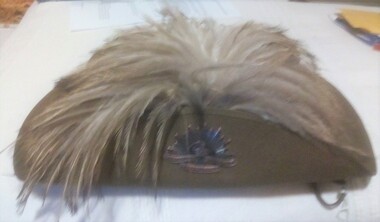 Hat with one side of brim turned up and bunch of emu feathers.