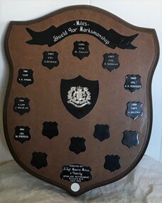 Wooden shield with badges and plaques arranged around it.