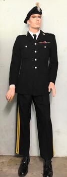 Soldier in a dress uniform with beret and plume