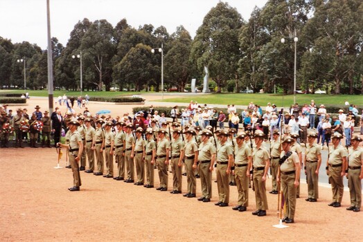 Two lines of soldiers on parade