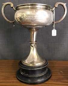 Silver cup trophy with handles and wooden base. 