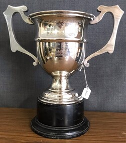 Silver  cup with handles on wooden base.