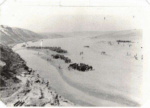 Aerial photograph of large groups of horses in desert.
