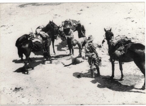 Three soldiers with loaded horses in desert.