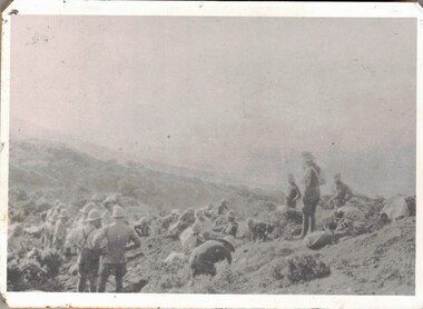 Soldiers engaged in digging trenches on hillside.