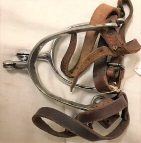 Spurs with sharp rowels and leather straps.