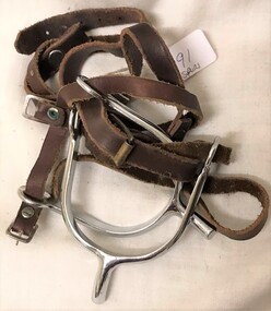 Shiny metal spurs with leather straps.