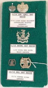     Five metal badges mounted on board