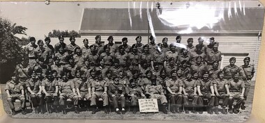 Large group of soldiers in rows.