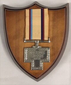 Wooden plaque with medal and ribbon attached