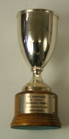 Trophy, 1980