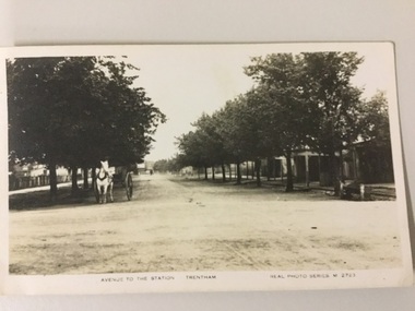 postcard, Valentine Publishing Co, Avenue to the station Trentham