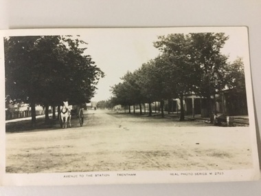 postcard, Valentine Publishing Co, Avenue to the station Trentham