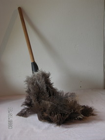 Domestic object - Duster, feather