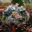 Multicoloured Silk Floral Hat