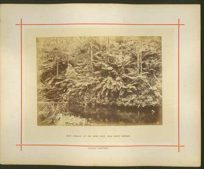 Fern Terrace, on the River Watt, near Mount Munday / [by] Nicholas Caire, circa 1876