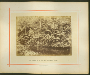 Fern Terrace, on the River Watt, near Mount Munday / [by] Nicholas Caire, circa 1876