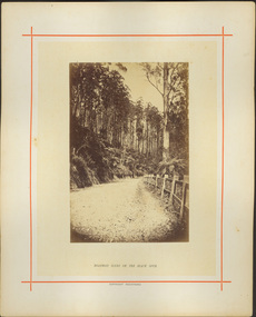 Roadway Scene on the Black Spur / [by] Nicholas Caire, circa 1876