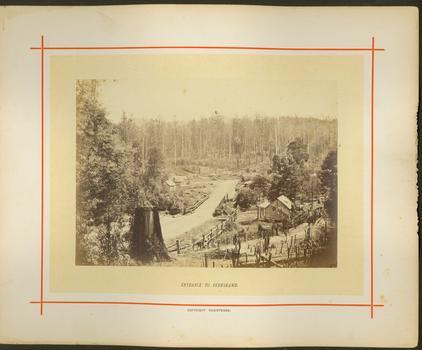 Entrance to Fernshawe / [by] Nicholas Caire, circa 1876