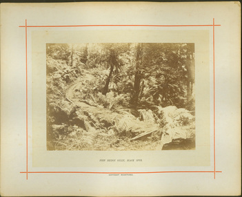 Fern Bridge Gully, Black Spur / [by] Nicholas Caire, circa 1876