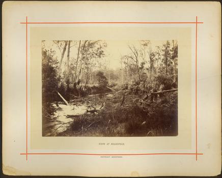 Scene at Healesville / [by] Nicholas Caire, circa 1876