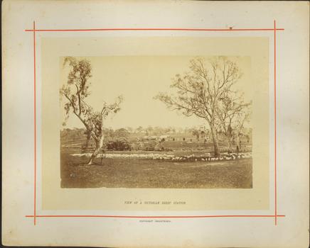 View of a Victorian Sheep Station / [by] Nicholas Caire, circa 1876