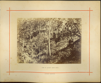 View of Sailor’s Creek Falls / [by] Nicholas Caire, circa 1876