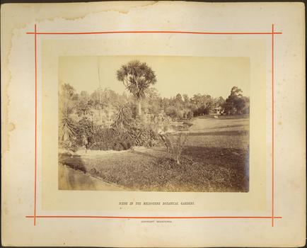 Scene in the Melbourne Botanical Gardens / [by] Nicholas Caire, circa 1876
