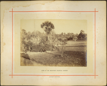 Scene in the Melbourne Botanical Gardens / [by] Nicholas Caire, circa 1876