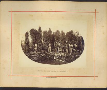 Aboriginal Natives of Victoria Hop Gathering / [by] Nicholas Caire, circa 1876