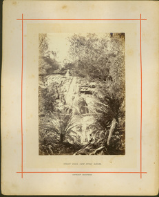 Straus’ Falls, Cape Otway Ranges / [by] Nicholas Caire, circa 1876