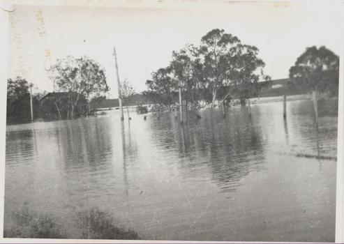 Willsmere Bridge, 1934