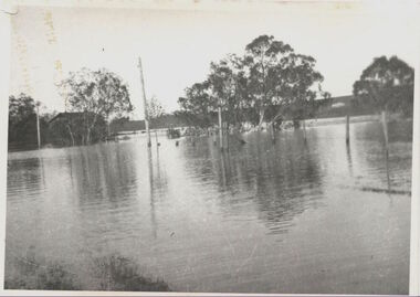 Willsmere Bridge, 1934