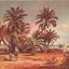 Pineapple trees at Munda, circa 1915