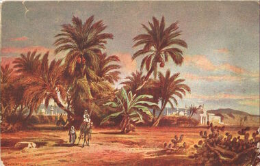 Pineapple trees at Munda, circa 1915