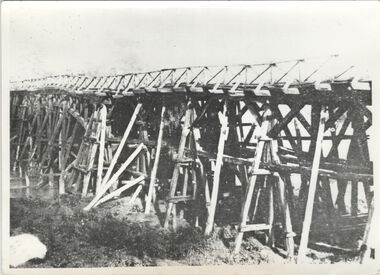 Studley Park [Toll] Bridge, Kew