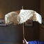 Cream Silk & Lace Parasol, circa 1900