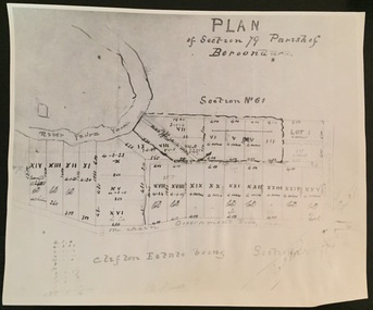 Plan of Section 79 Parish of Boroondara (Clifton Estate)