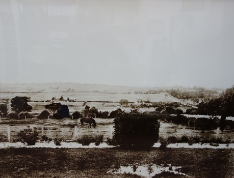 East Kew, Looking Towards Balwyn