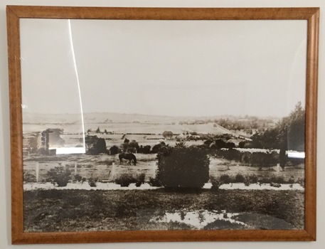 Framed Photograph: East Kew, Looking Towards Balwyn