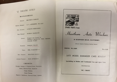Die Fledermaus