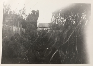 Photograph, Backyard, Kew, 1940-1965