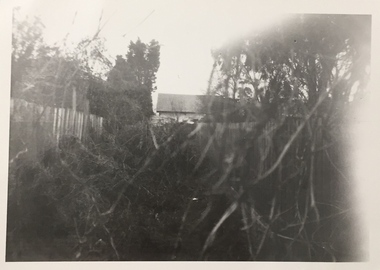 Photograph, Backyard, Kew, 1940-1965