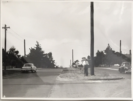 Electricity Supply Poles, Burke Road, Kew, 1965