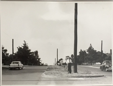 Electricity Supply Poles, Burke Road, Kew, 1965