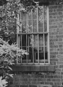 Window, D'Estaville