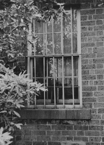 Window, D'Estaville