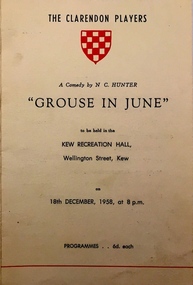 Grouse in June / by N.C. Hunter
